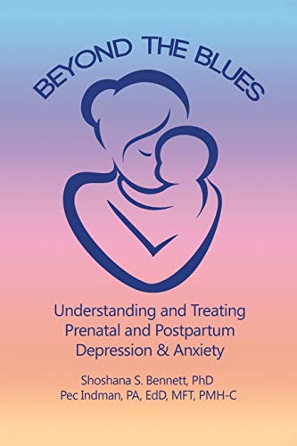 Imagen de archivo de Beyond the Blues: Understanding and Treating Prenatal and Postpartum Depression Anxiety a la venta por Blue Vase Books
