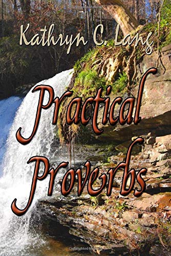 9781949289077: Practical Proverbs