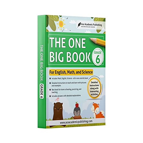 Beispielbild fr The One Big Book - Grade 6: For English, Math and Science zum Verkauf von -OnTimeBooks-