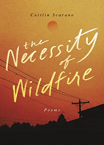 Beispielbild fr The Necessity of Wildfire : Poems zum Verkauf von Better World Books