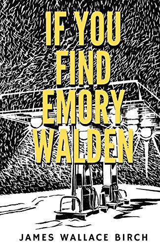 Stock image for If You Find Emory Walden for sale by Wonder Book