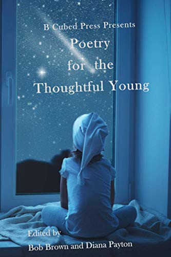 Imagen de archivo de Poetry for the Thoughtful Young a la venta por ThriftBooks-Atlanta