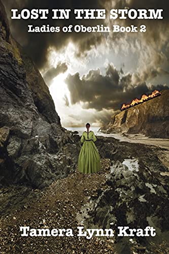 Imagen de archivo de Lost in the Storm: Ladies of Oberlin Book Two a la venta por Bookmonger.Ltd