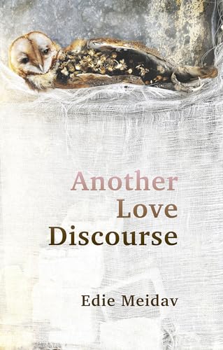 Imagen de archivo de Another Love Discourse a la venta por Bellwetherbooks