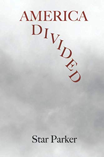 Stock image for America Divided for sale by Better World Books