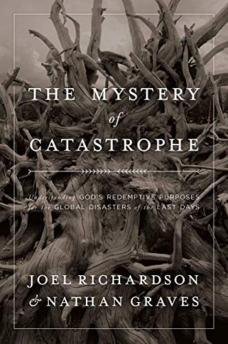 Stock image for The Mystery of Catastrophe for sale by Your Online Bookstore