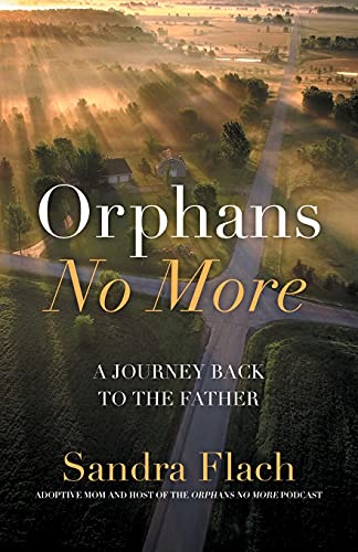 Stock image for Orphans No More : A Journey Back to the Father for sale by Better World Books