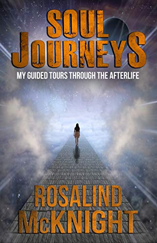 Stock image for Soul Journeys: My Guided Tours Through the Afterlife for sale by GoodwillNI