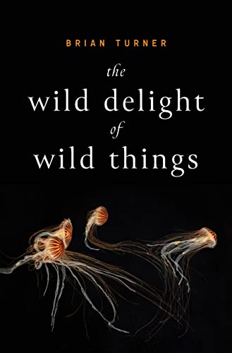 Imagen de archivo de The Wild Delight of Wild Things a la venta por Housing Works Online Bookstore