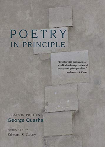 Stock image for Poetry In Principle: Essays in Poetics for sale by Strand Book Store, ABAA