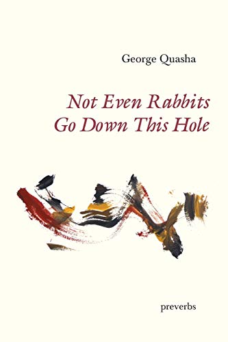 Beispielbild fr Not Even Rabbits Go Down This Hole: preverbs zum Verkauf von WorldofBooks