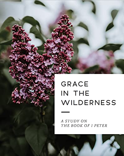 Beispielbild fr Grace in the Wilderness : Study on 1 Peter zum Verkauf von Better World Books