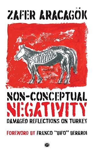 9781950192038: Non-Conceptual Negativity: Damaged Reflections on Turkey