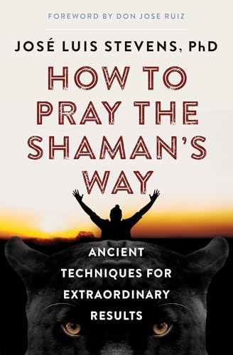 Imagen de archivo de How to Pray the Shamans Way: Ancient Techniques for Extraordinary Results a la venta por Big River Books