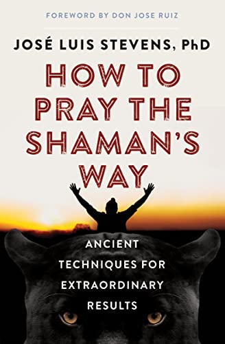 Stock image for How to Pray the Shaman's Way: Ancient Techniques for Extraordinary Results for sale by Books Unplugged
