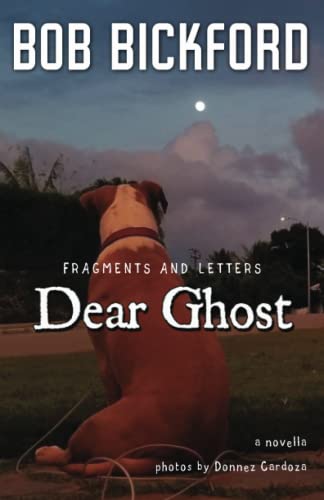Imagen de archivo de Dear Ghost: Fragments and Letters a la venta por A1AMedia