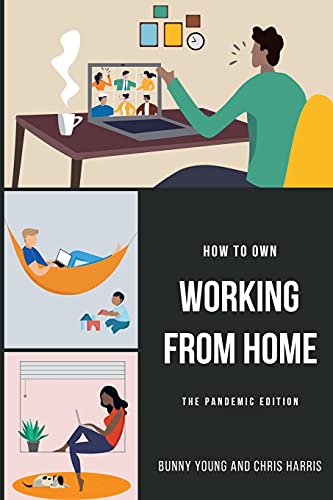 Stock image for How to Own Working From Home: The Pandemic Edition for sale by Lucky's Textbooks