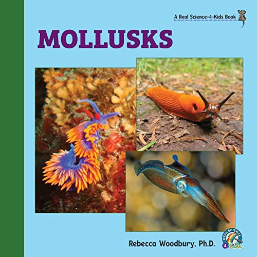 Beispielbild fr Mollusks zum Verkauf von Buchpark