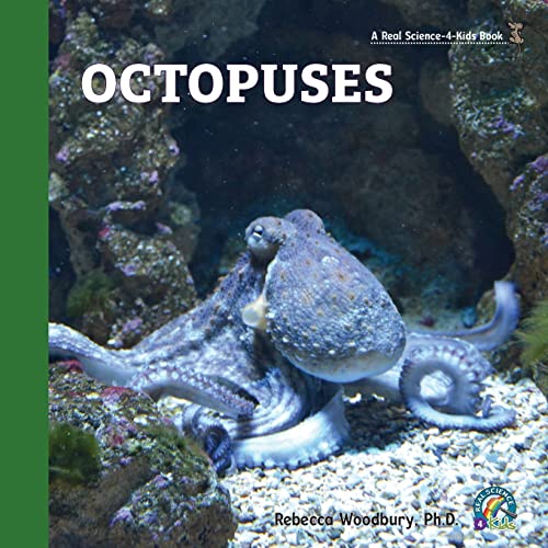Beispielbild fr Octopuses zum Verkauf von Books Unplugged