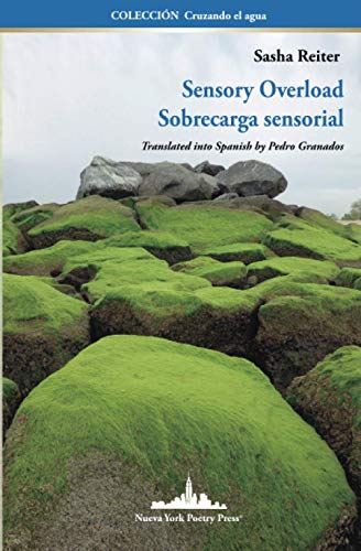 Imagen de archivo de Sensory Overload: Sobrecarga Sensorial (Bilingual edition) a la venta por THE SAINT BOOKSTORE