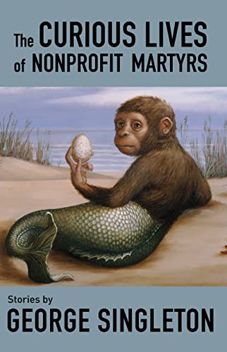 Beispielbild fr The Curious Lives of Nonprofit Martyrs zum Verkauf von Blackwell's