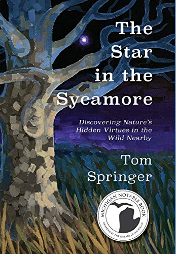 Beispielbild fr The Star in the Sycamore: Discovering Nature's Hidden Virtues in the Wild Nearby zum Verkauf von Sequitur Books