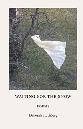 Beispielbild fr Waiting for the Snow: Poems zum Verkauf von PlumCircle