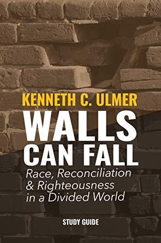 Stock image for Walls Can Fall: Race, Reconciliation & Righteousness in a Divided World for sale by -OnTimeBooks-