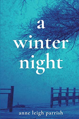 Stock image for A Winter Night for sale by ThriftBooks-Atlanta