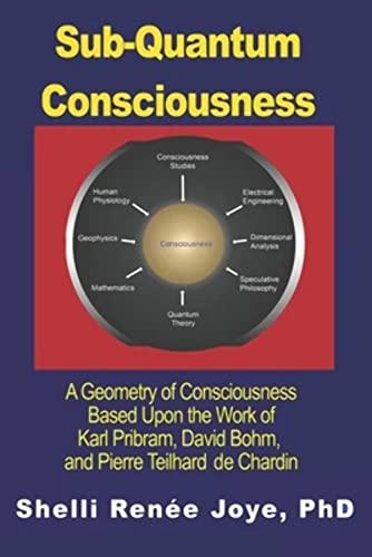 9781950761005: Sub-Quantum Consciousness: A Geometry of Consciousness Based Upon the Work of Karl Pribram, David Bohm, and Pierre Teilhard De Chardin