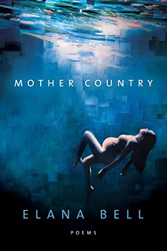 Beispielbild fr Mother Country (American Poets Continuum Series, 183) zum Verkauf von BooksRun