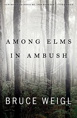 9781950774418: Among Elms, in Ambush