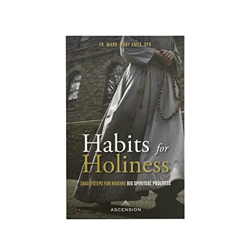 Stock image for Habits for Holiness: Small Steps for Making Big Spiritual Progress for sale by Reliant Bookstore