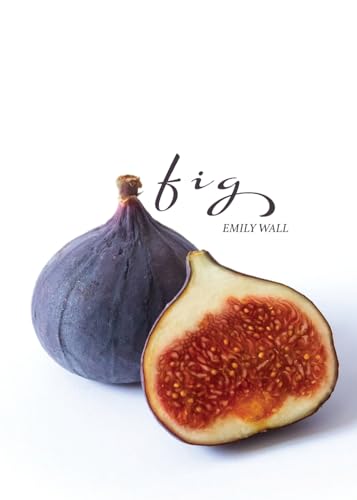Stock image for Fig for sale by GreatBookPrices