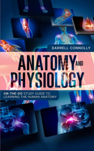Stock image for ANATOMY AND PHYSIOLOGY: On-the-Go Study Guide to Learning the Human Anatomy for sale by GF Books, Inc.