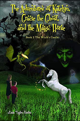 Imagen de archivo de The Adventures of Katelyn, Gracie the Ghost and the Magic Horse: Book 2 The Witch's Castle a la venta por Lucky's Textbooks