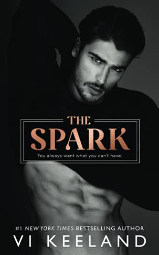 Imagen de archivo de The Spark a la venta por ZBK Books