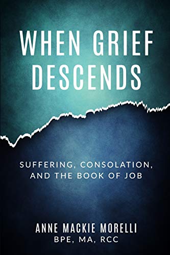 Imagen de archivo de When Grief Descends: Suffering, Consolation, And The Book Of Job a la venta por BooksRun