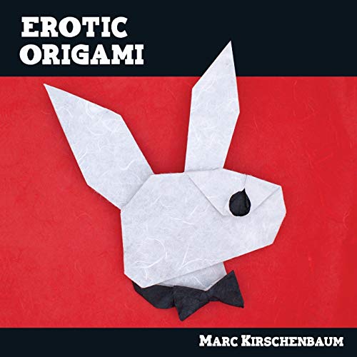 9781951146078: Erotic Origami