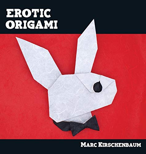 9781951146085: Erotic Origami