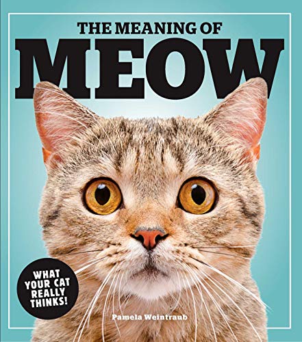 Beispielbild fr The Meaning of Meow: What Your Cat Really Thinks! zum Verkauf von ThriftBooks-Dallas