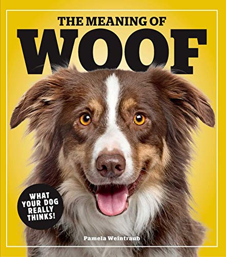 Beispielbild fr The Meaning of Woof: What Your Dog Really Thinks! zum Verkauf von Open Books