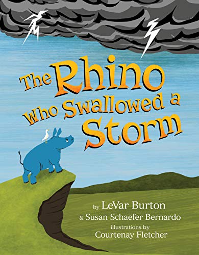 Imagen de archivo de The Rhino Who Swallowed a Storm a la venta por BooksRun