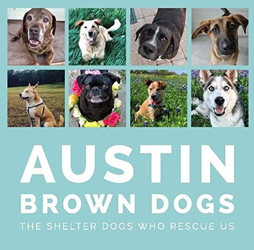 Stock image for Austin Brown Dogs: The Shelter Dogs Who Rescue Us for sale by HPB-Ruby