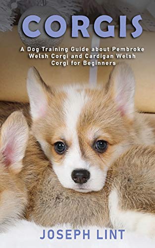 Stock image for Corgis: A Dog Training Guide about Pembroke Welsh Corgi and Cardigan Welsh Corgi for Beginners for sale by HPB-Ruby