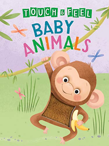 9781951356637: Baby Animals: A Touch and Feel Book - Little Hippo Books - Children's Board Book - Educational