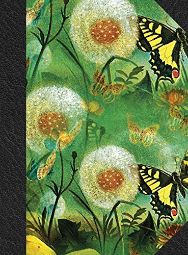 9781951373641: Notary Journal: Hardbound Public Record Book for Women, Logbook for Notarial Acts, 390 Entries, 8.5" x 11", Butterfly Floral Print Cover