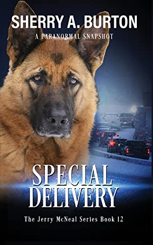 Stock image for Special Delivery: Book 12 in The Jerry McNeal Series (A Paranormal Snapshot) for sale by GF Books, Inc.