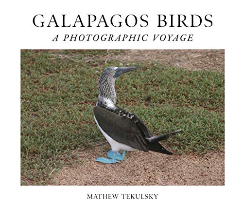 Imagen de archivo de Galapagos Birds: A Photographic Voyage a la venta por arcfoundationthriftstore