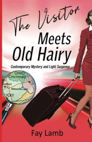 9781951602208: The Visitor Meets Old Hairy: Contemporary Mystery and Light Suspense (The Visitor Mysteries)